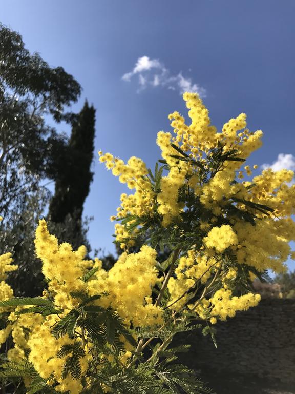 Mas Caipi La Cadiere D'Azur At My Luxury Home In Provence Εξωτερικό φωτογραφία